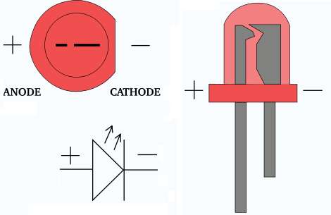 LED Polarity